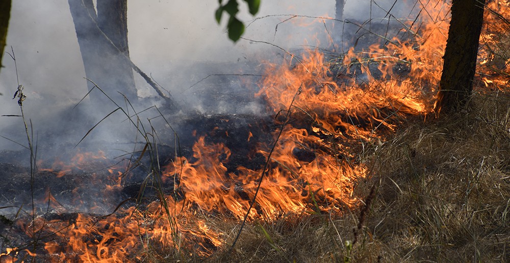 火災(zāi) 火災(zāi)