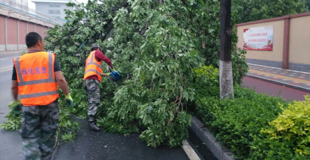 雷電 雷電