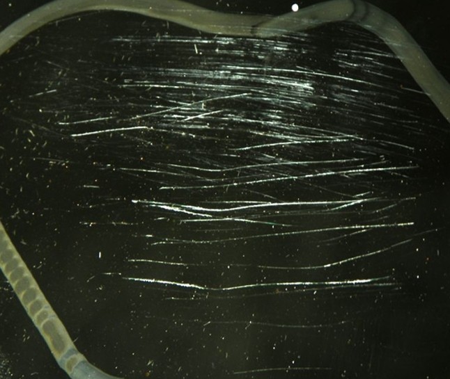 如何去掉透明有機(jī)玻璃制品的細(xì)小劃痕？