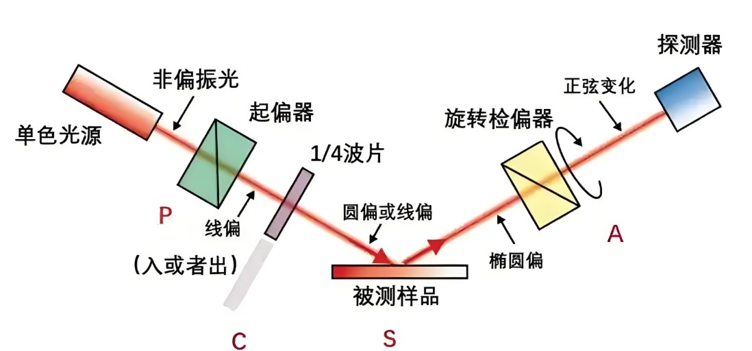 偏振光是如何完成檢測的？