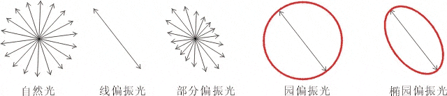 什么是偏振光？偏振光是如何完成檢測的？