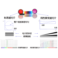 線性漸變?yōu)V光片是什么？有何特點？