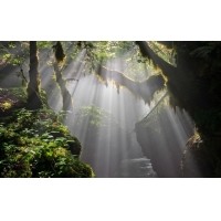 光的干涉、衍射、折射、反射、散射